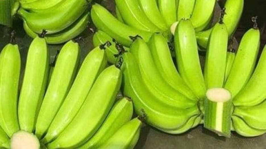 Cần tìm nhà vận chuyển giàu kinh nghiệm đi trung đông 