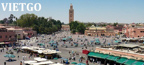 Cơ hội xuất khẩu 1 container hạt điều sang Morocco