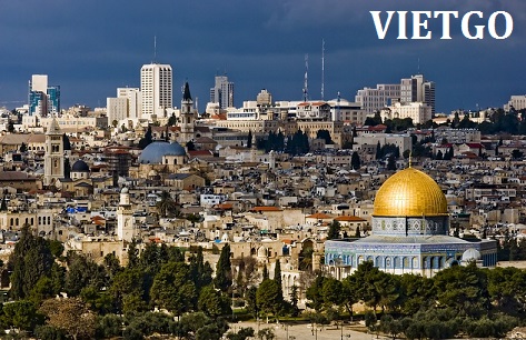 Cơ hội xuất khẩu dăm bào gỗ thông sang Israel