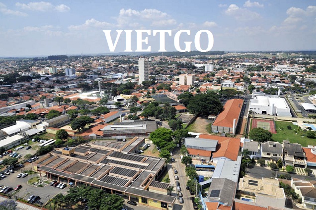 Cơ hội xuất khẩu gỗ bạch đàn tròn sang Brazil
