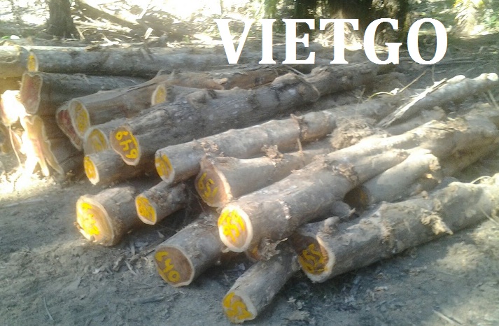 Cơ hội xuất khẩu 3 container gỗ teak tròn sang Ấn Độ