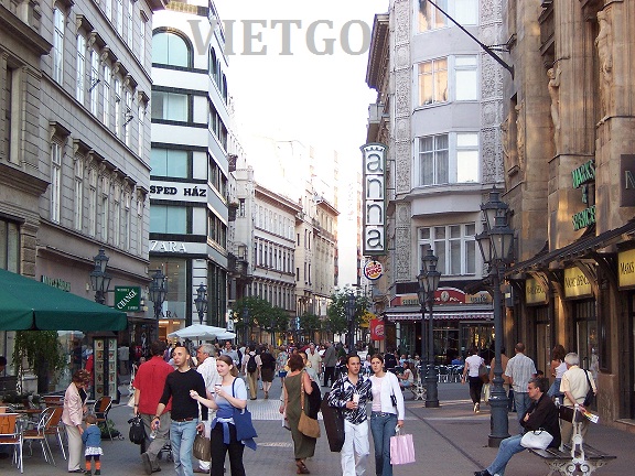 Nhà nhập khẩu Hungary cần mua gỗ thông vụn để xuất sang thị trường Ý