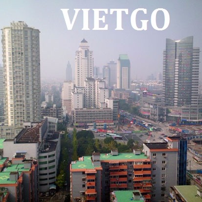 Cơ hội xuất khẩu 500 – 1000 tấn viên nén mùn cưa mỗi tháng