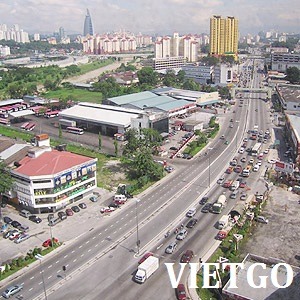 Cơ hội xuất khẩu 1 container tôm sang Malaysia