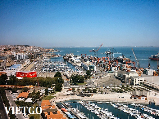 Cơ hội xuất khẩu 20.000 tấn ngô sang Angola