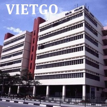 Cơ hội xuất khẩu pallet gỗ keo sang Singapore