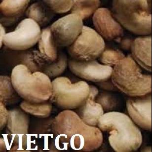 Cơ hội xuất khẩu 1.000 tấn hạt điều thô mỗi tháng sang Trung Quốc.