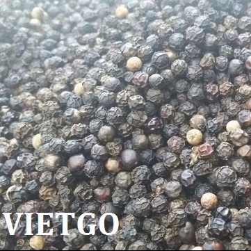Cơ hội xuất khẩu 20 tấn tiêu mỗi tháng sang Trung Quốc.