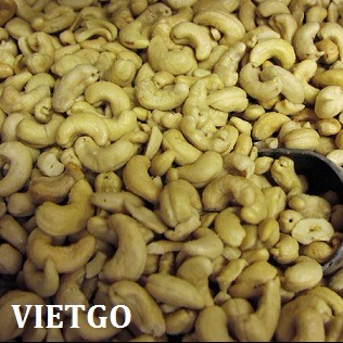 Cơ hội xuất khẩu 50 tấn hạt điều sang Đức.