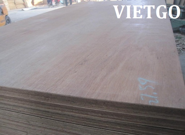 Cơ hội xuất khẩu gỗ dán làm ván sàn container sang Hàn Quốc