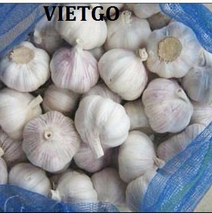 Cơ hội xuất khẩu 2-3 containers tỏi sang Ấn Độ.