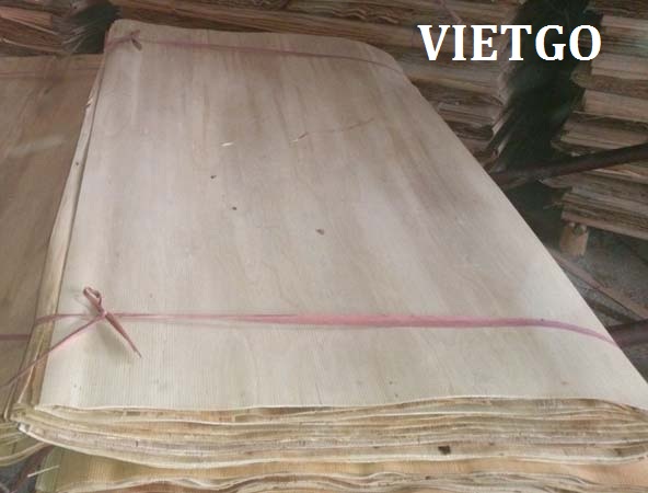 Cơ hội xuất khẩu 20 container 40ft ván bóc lõi bạch đàn sang Trung Quốc