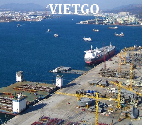 (Gấp) Cơ hội xuất khẩu gậy tre khô sang Hàn Quốc