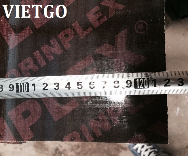 Cơ hội xuất khẩu 1 container 40ft gỗ dán phủ phim sang Ả Rập Saudi