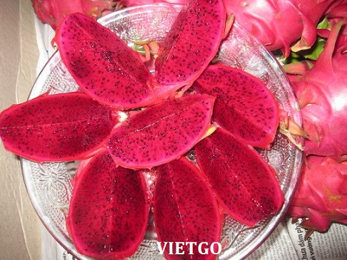 Cơ hội xuất khẩu 1 container thanh long sang Thái Lan