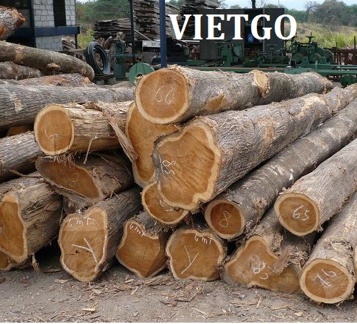 Cơ hội xuất khẩu 10-15 container gỗ teak tròn sang Ấn Độ