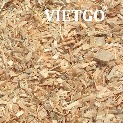 Cơ hội xuất khẩu 20.000 tấn gỗ thông vụn sang Thổ Nhĩ Kỳ