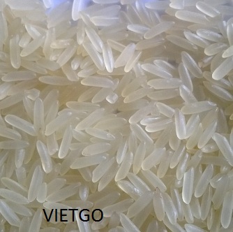 Cơ hội xuất khẩu 2 container 20ft gạo sang Sierra Leone