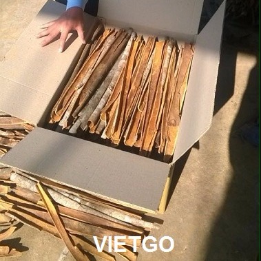 Thương nhân người Ấn Độ cần nhập khẩu 1 container 20ft quế.