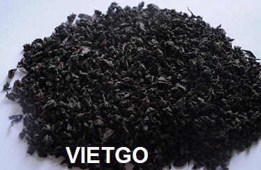 Cơ hội xuất khẩu 1 container 20ft chè đen sang Qatar