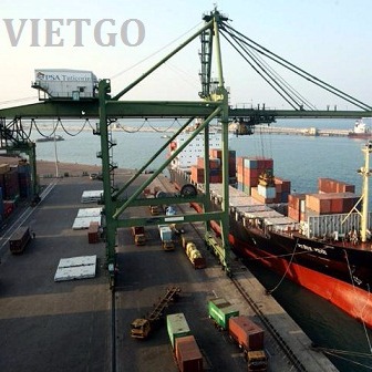 Đối tác từ Singapore có nhu cầu mua thử 1 container gỗ keo tròn xuất sang thị trường Ấn Độ