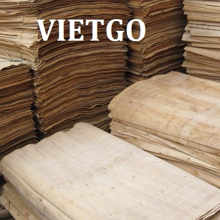 Công ty kinh doanh gỗ tại Trung Quốc cần mua 20 container ván bóc lõi bạch đàn mỗi tháng