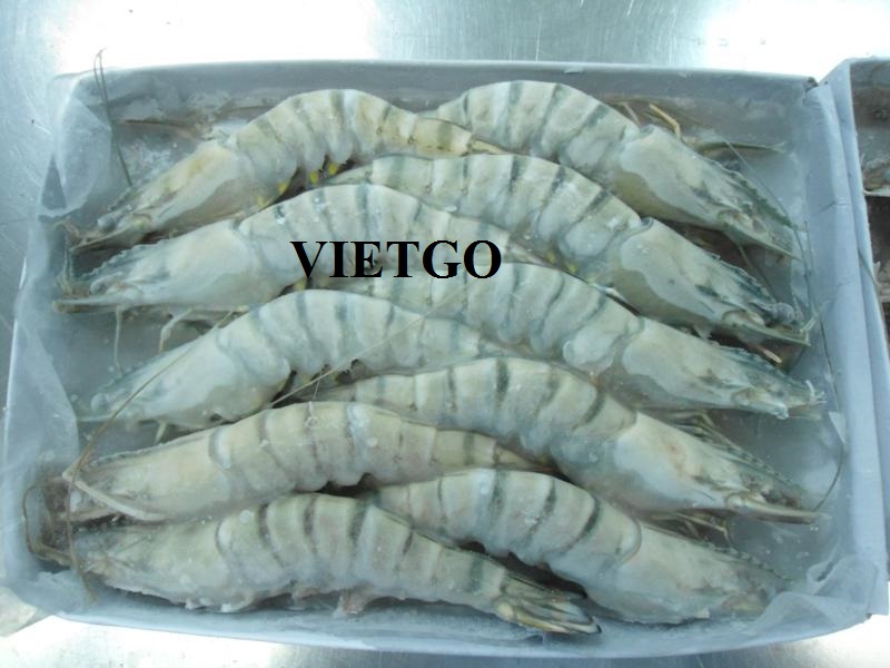 Cơ hội xuất khẩu 1container 40ft tôm đông lạnh sang Nga.