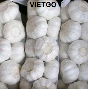 Thương nhân người Kuwait cần mua 100 tấn tỏi trắng