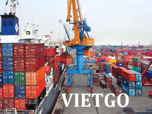 Cơ hội xuất khẩu 2000m3 gỗ dầu tròn sang Ấn Độ