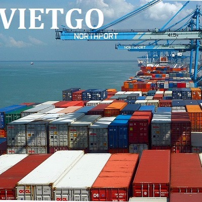 Cơ hội xuất khẩu 500 cây gỗ bạch đàn tròn sang Malaysia