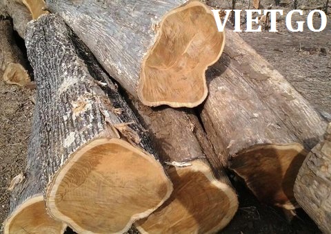 (Gấp) Thương nhân Ấn Độ có nhu cầu mua thử 20m3 gỗ teak tròn