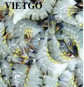 Thương nhân từ Nga đang có nhu cầu mua 75 tấn tôm.