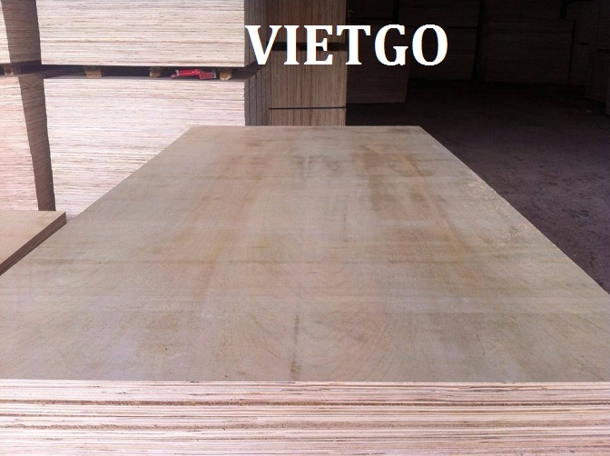 Đối tác từ Philippines có nhu cầu mua thử 1 container gỗ dán