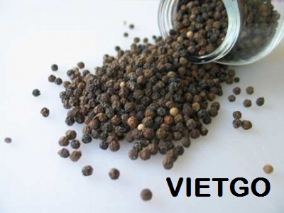 Thương nhân người Serbia muốn mua 1 container 20ft tiêu đen xuất khẩu sang Croatia