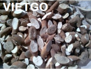 Thương nhân người Indonesia cần tìm nhà cung cấp 20 container sắn lát mỗi tháng