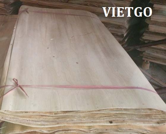 Cơ hội xuất khẩu 1000m3 ván bóc lõi bạch đàn sang Hàn Quốc