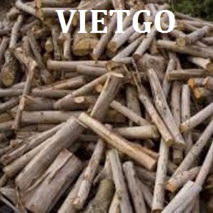Cơ hội xuất khẩu 500-1000 tấn củi đốt từ gỗ keo và bạch đàn sang Jordan