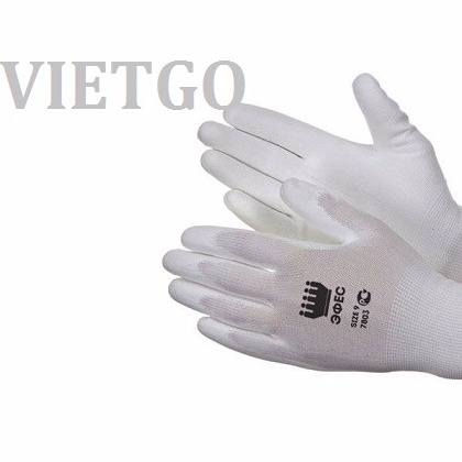 Cơ hội xuất khẩu 1 container găng tay lao động sang Nga