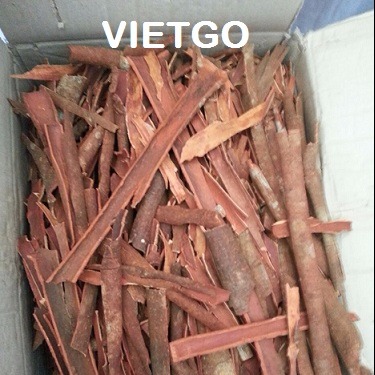 Cơ hội xuất khẩu 1 container 20ft quế chẻ sang Yemen