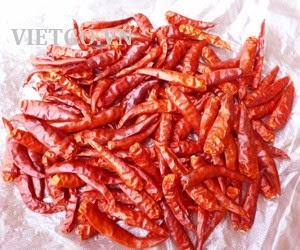Cơ hội xuất khẩu 1 container 20ft ớt khô sang Trung Quốc