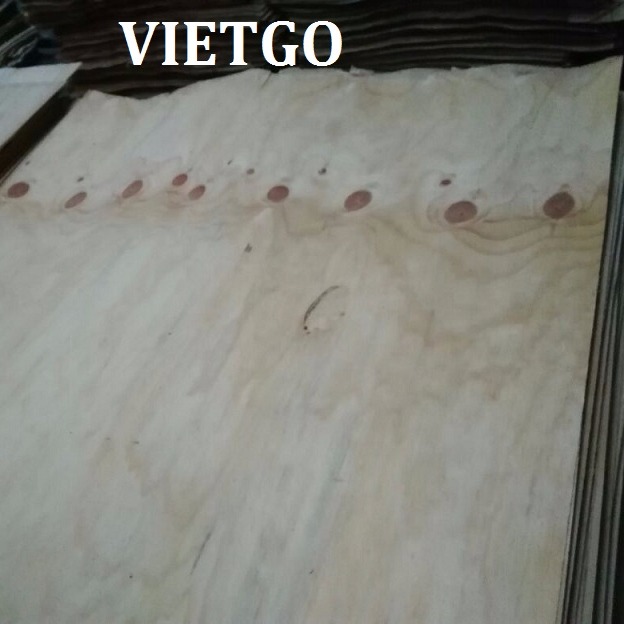 Cơ hội xuất khẩu số lượng lớn ván bóc lõi sang Trung Quốc
