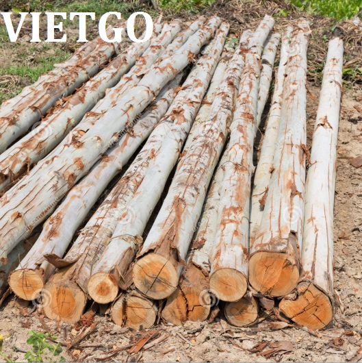 Cơ hội xuất khẩu 3.000-6.000m3 bạch đàn tròn sang Trung Quốc