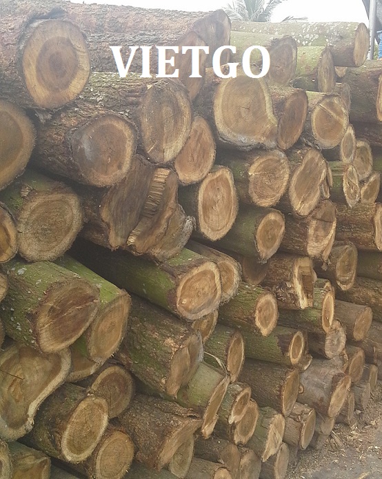Cơ hội xuất khẩu 35 mét khối gỗ keo hoặc bạch đàn tròn sang Ấn Độ