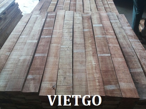 Cơ hội xuất khẩu mỗi tháng 1 container 20ft gỗ cao su hoặc thông xẻ sang Ấn Độ