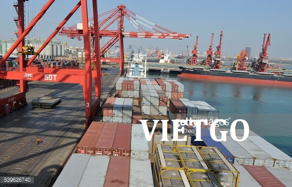 Cơ hội xuất khẩu 70.000 BDMT gỗ vụn sang Trung Quốc
