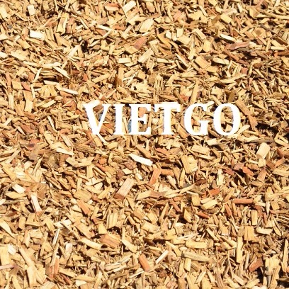 Thương gia Singapore có nhu cầu mua 10.000 tấn gỗ bạch đàn vụn xuất sang Trung Quốc và Hàn Quốc