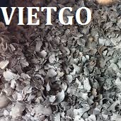 Cơ hội xuất khẩu 100 tấn than gáo dừa sang Nga