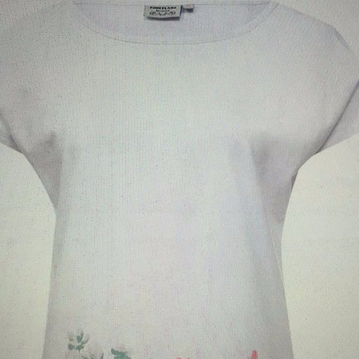 Thương nhân người Nga tại Trung Quốc cần mua 800 áo t shirt