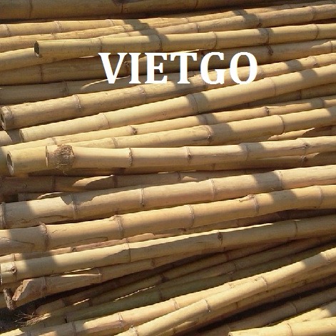 Cơ hội xuất khẩu 1 container gậy tre sang Canada