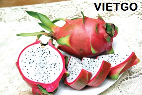 Cơ hội xuất khẩu 1 container thanh long sang Trung Quốc